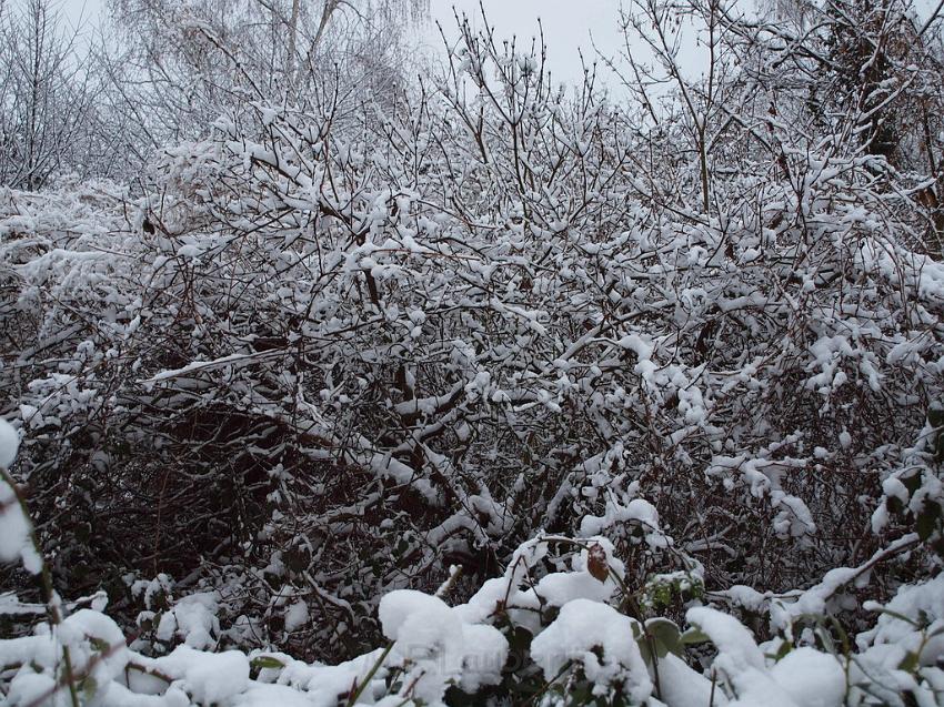 2010 Koeln im Schnee P21.JPG